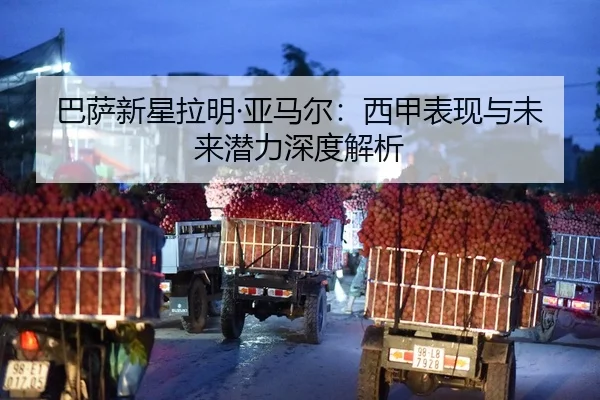 ba-sa-xin-xing-la-ming-ya-ma-er-xi-jia-biao-xian-yu-wei-lai-qian-li-shen-du-jie-xi-2-375.jpg